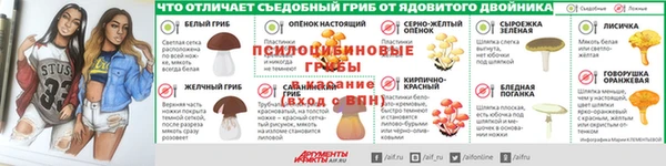 ПСИЛОЦИБИНОВЫЕ ГРИБЫ Гусев