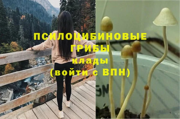 амф Надым