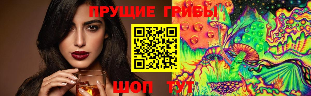 Биробиджан  Галлюциногенные грибы Magic Shrooms  закладка  Вход с VPN 